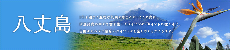 八丈島～周囲５４キロ伊豆七島の中で最も大きな島です。黒潮の影響をタップリ受ける伊豆八丈島の海は、様々な生き物達で満ち溢れています。